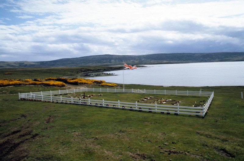 The Falkland Islands - 1982