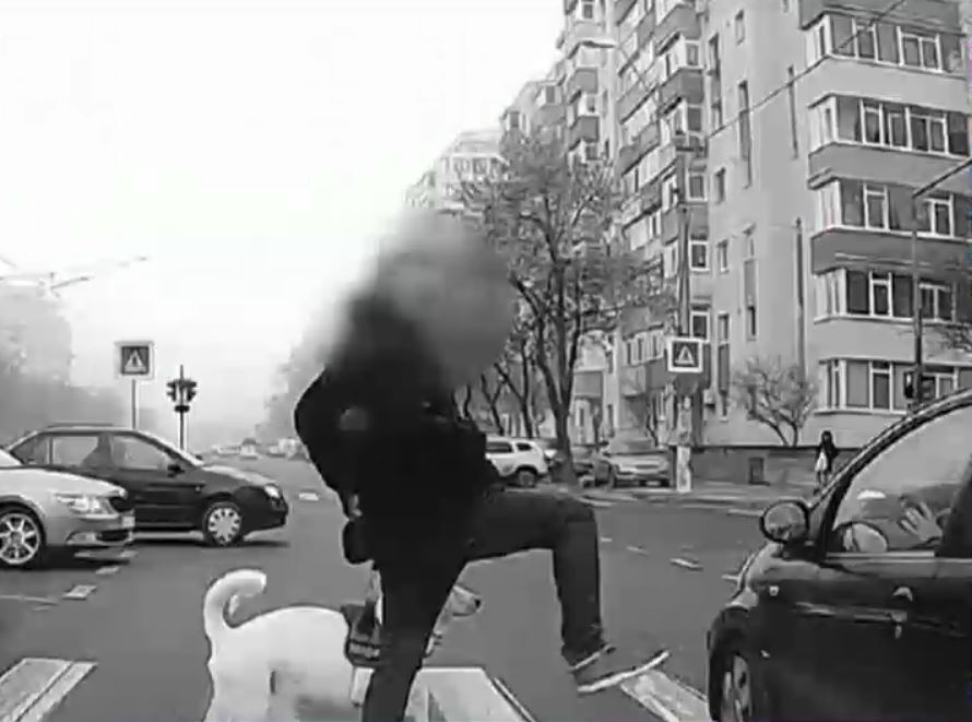 VIDEO Scandal pe o trecere de pietoni din București: Un pieton a fost evitat la limită, dar tot șoferul s-a supărat