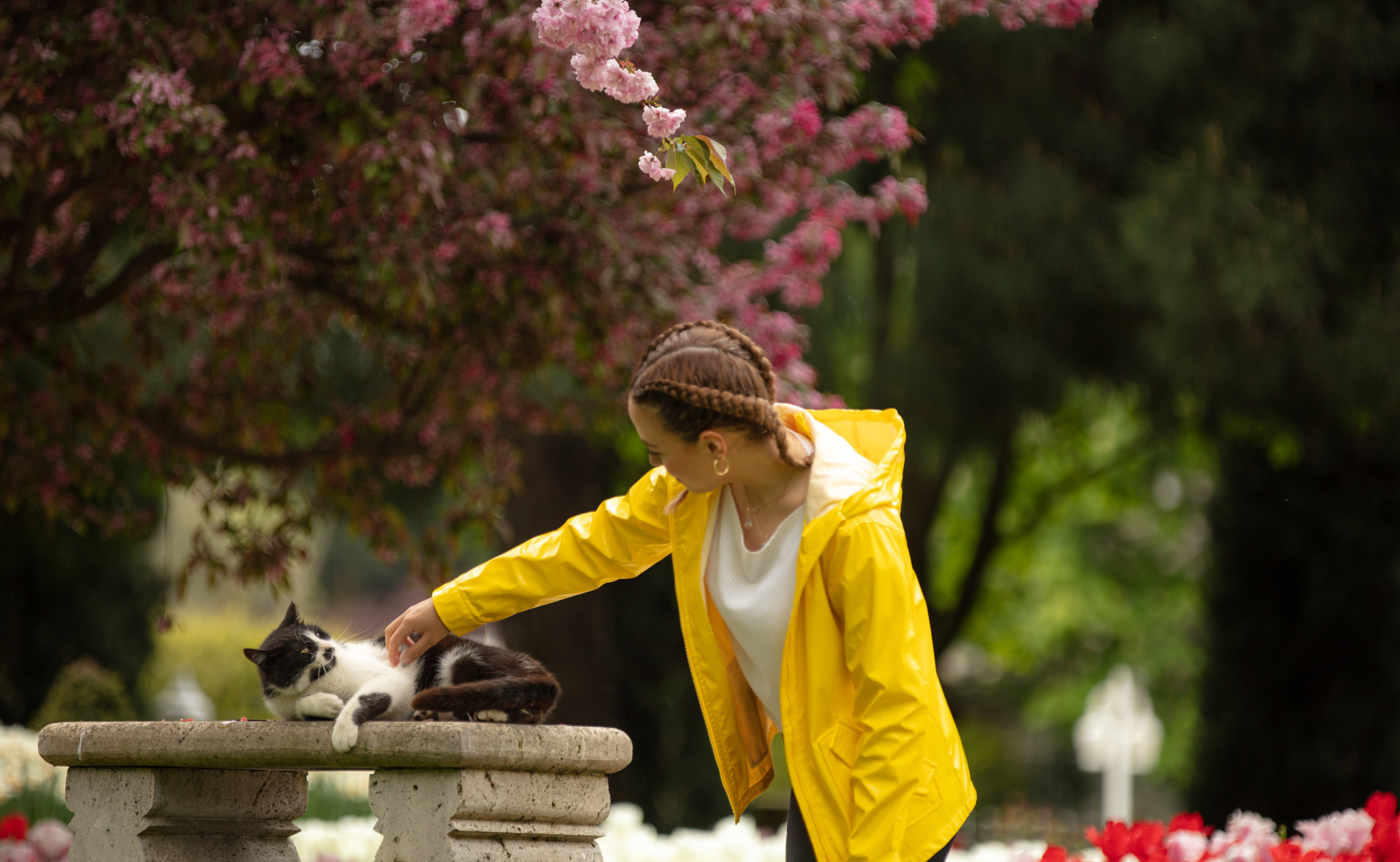 Vreme schimbătoare și temperaturi între +18 și -4 grade Celsius. Prognoza meteo pentru 4-17 martie, pe regiuni