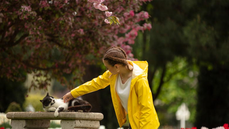 o femeie cu haina galbena se joaca cu o pisica aflata pe o banca, sun un copac inflorit