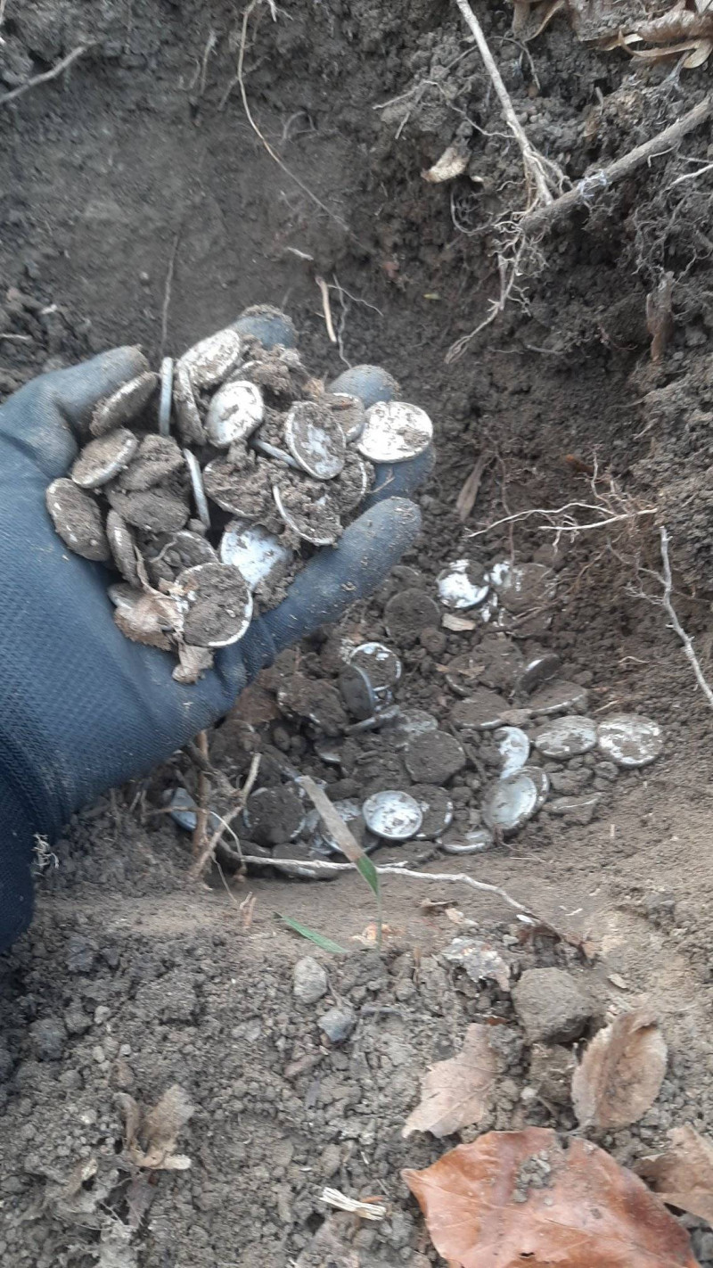 descoperire arheologica monede vechi