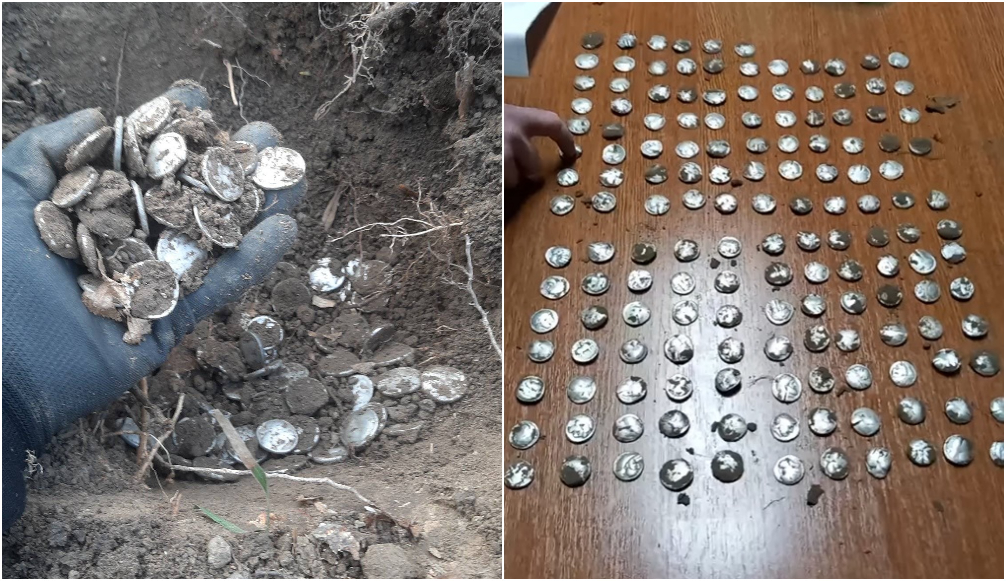 Comoară istorică găsită într-o pădure din Vrancea: peste 150 de monede vechi de peste 2.000 de ani