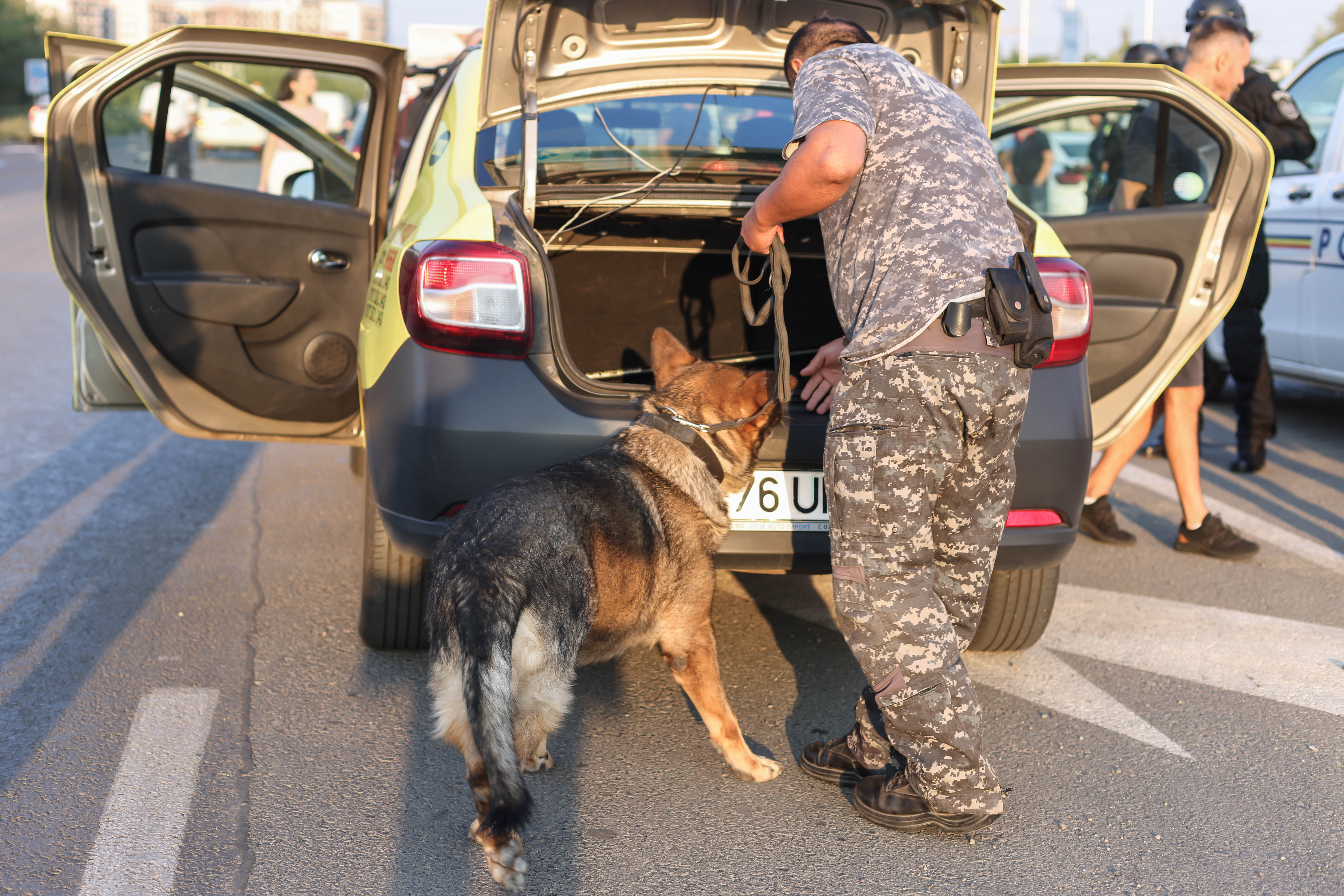 "Legea 2 Mai" a fost adoptată. Gorghiu: "Nu poţi să vinzi heroină sau cocaină, să distrugi vieţi şi după să umbli liber pe străzi"