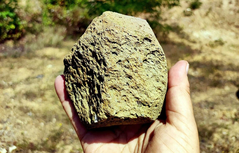 Cele mai vechi unelte din piatră din Europa au fost descoperite aproape de granița României și au 1,4 milioane de ani