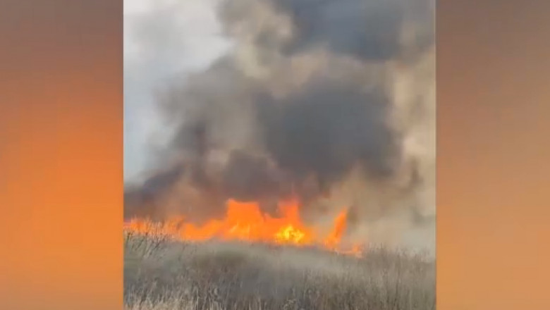 incendiu delta neajlovului