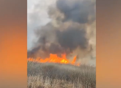 Un puternic incendiu de vegetaţie în Delta Neajlovului a fost stins de pompieri după 12 ore de intervenție