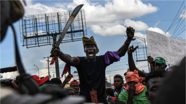 haitieni cu macete protestează pe străzi