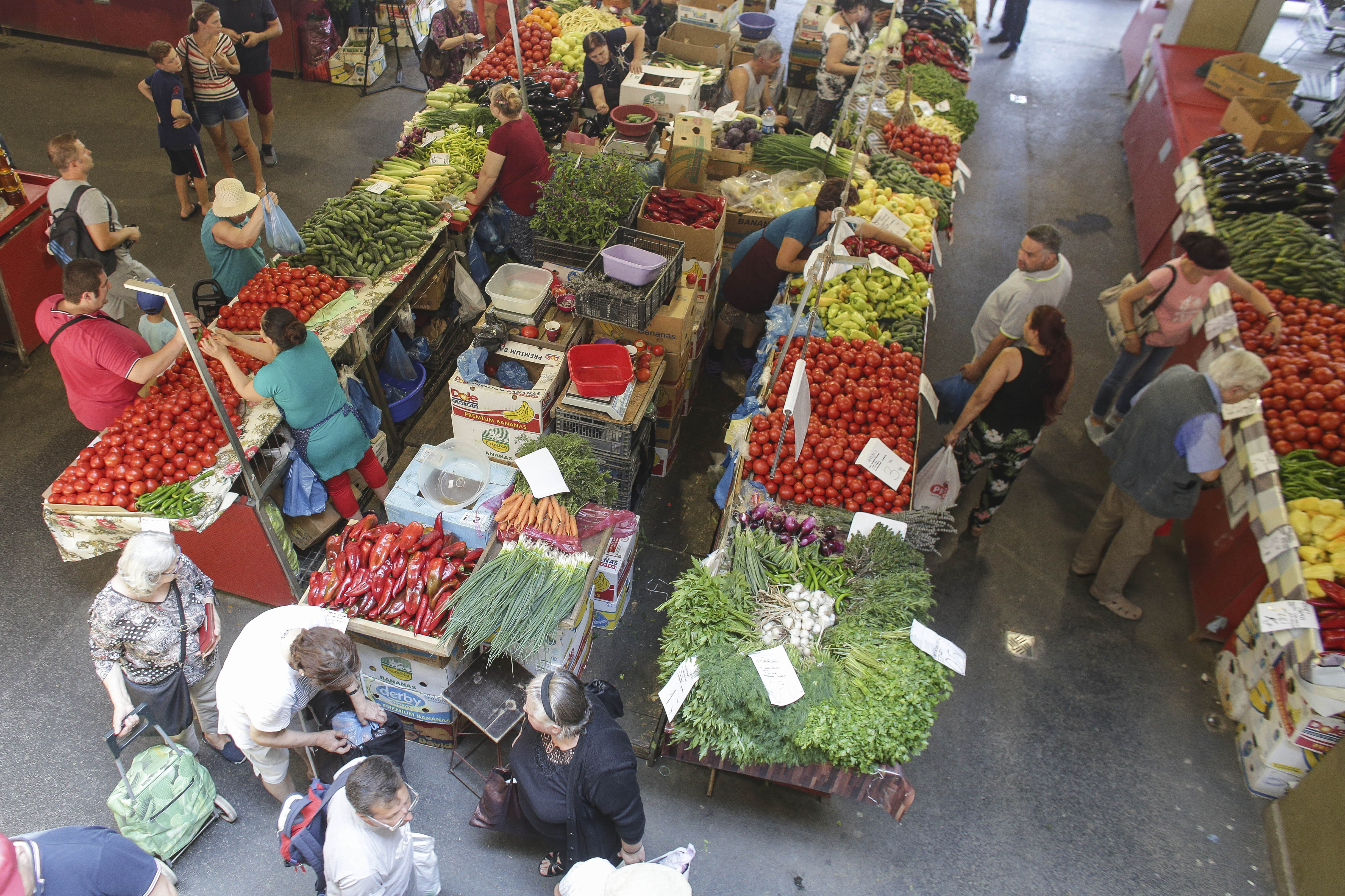 Salata, roșiile și mărarul din serele din sudul țării sunt pline de pesticide și ne expun la cancer și leucemie. Raport îngrijorător