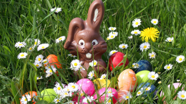 easter,easter bunny,chocolate easter bunny