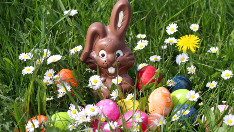 easter,easter bunny,chocolate easter bunny