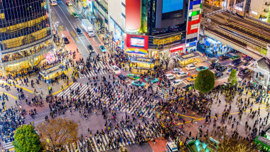 Shibuya,,Tokyo,,Japan,Crosswalk,And,Cityscape.