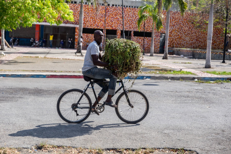 Insecurity and political instability continue in Port-au-Prince