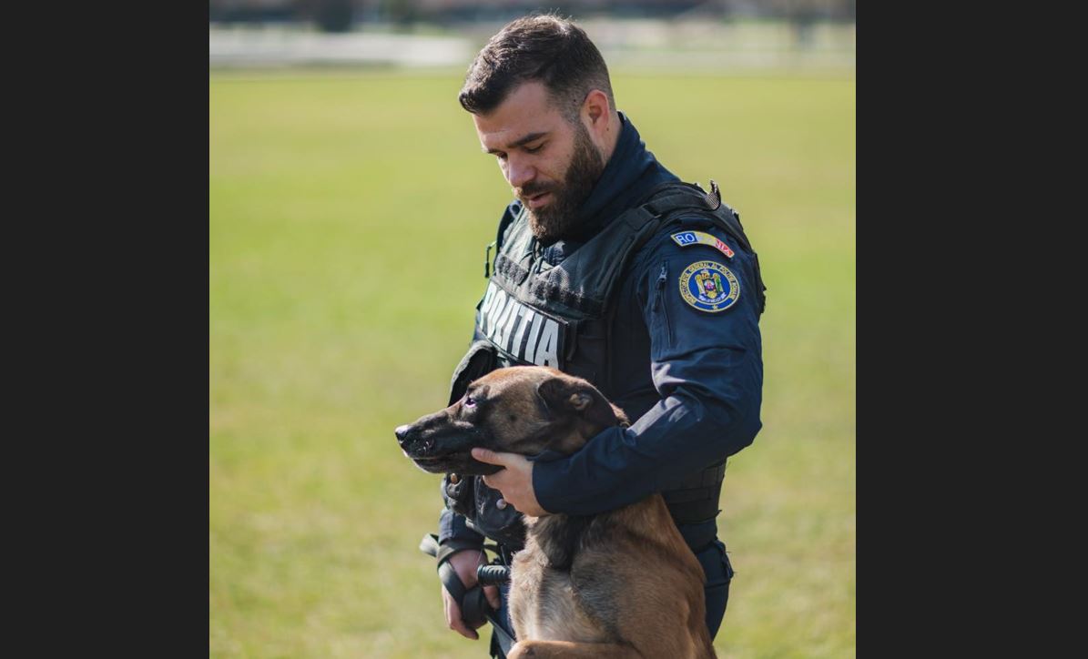 Poliţia Română scoate la concurs 60 de posturi de agent şi conductor de câini. Care sunt condiţiile pentru înscriere