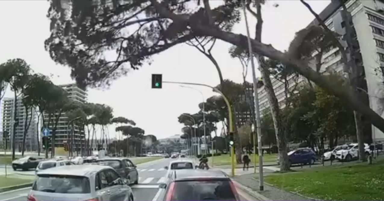 Imagini șocante în Roma: Un român a filmat momentul în care un pin de peste 15 metri a căzut peste mașinile care așteptau la semafor