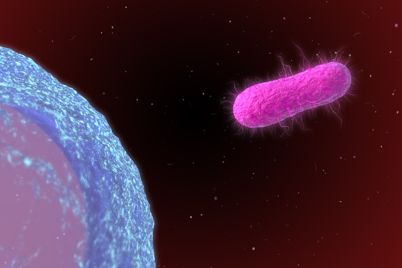 Primul caz de febră tifoidă din 2024 în România, la un pacient al Spitalului de Boli Infecțioase „Victor Babeș” din Capitală