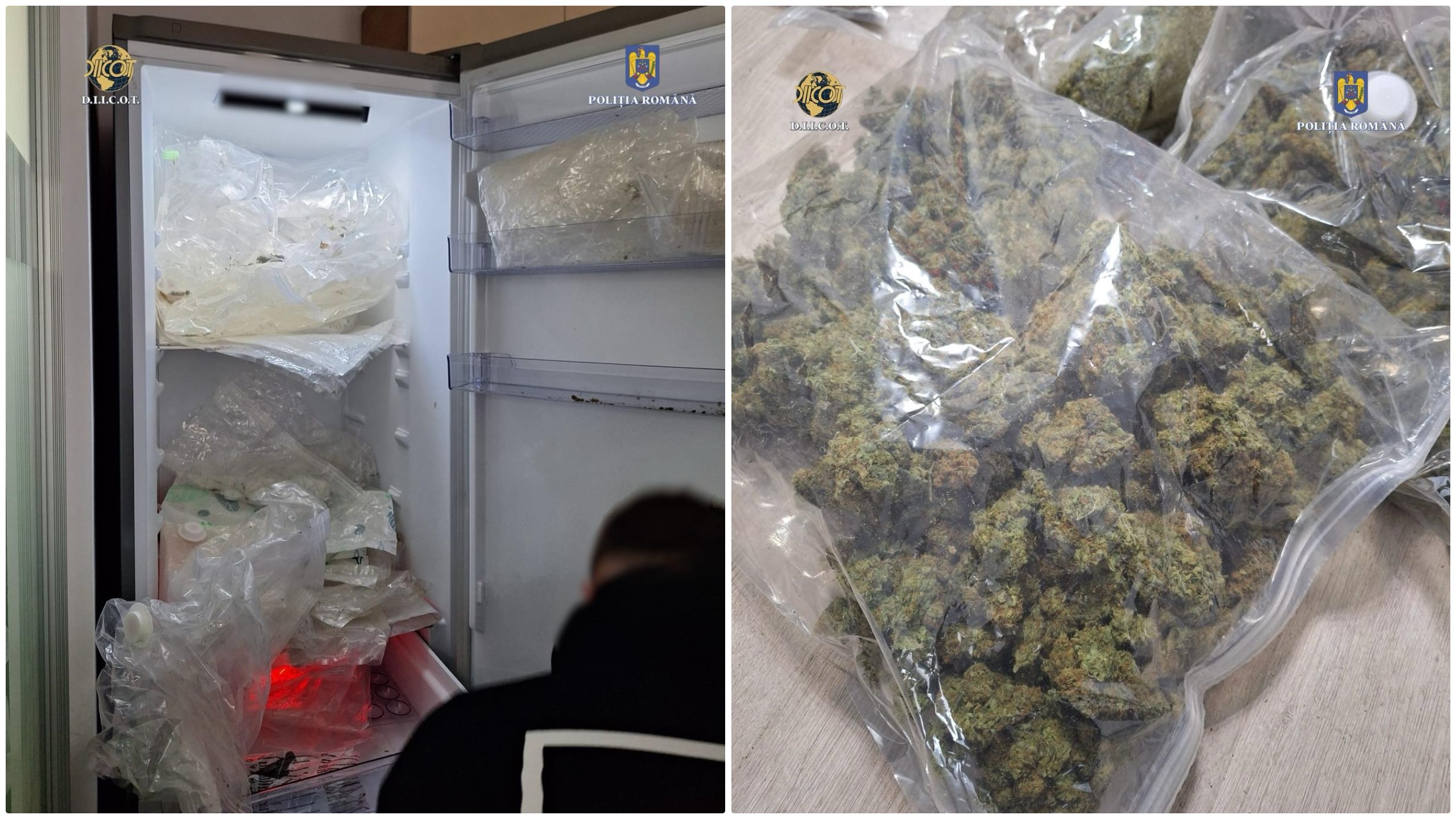 Peste 8 kg de droguri au fost găsite de polițiști ascunse într-un frigider. Dealerii le vindeau în București și Călărași