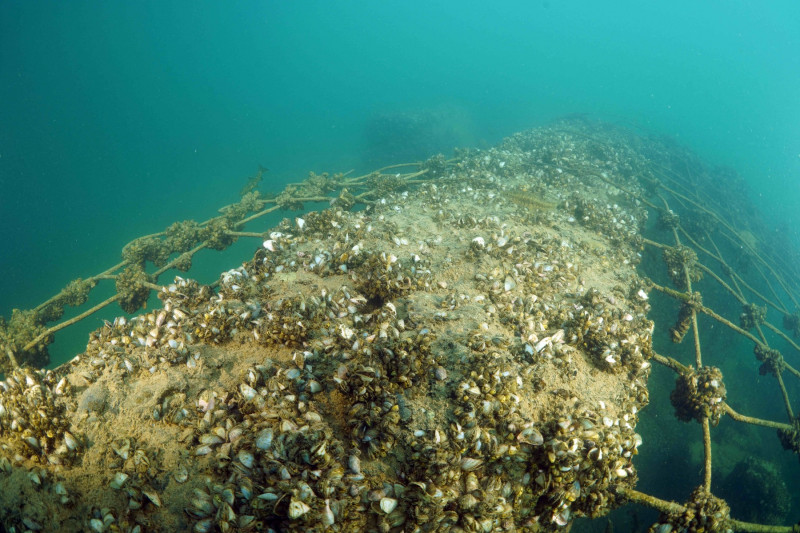 Partially submerged Old Halfeti displayed underwater in Turkiye's Sanliurfa