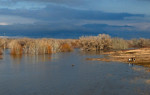 Consequences of flooding in the city of Orsk.