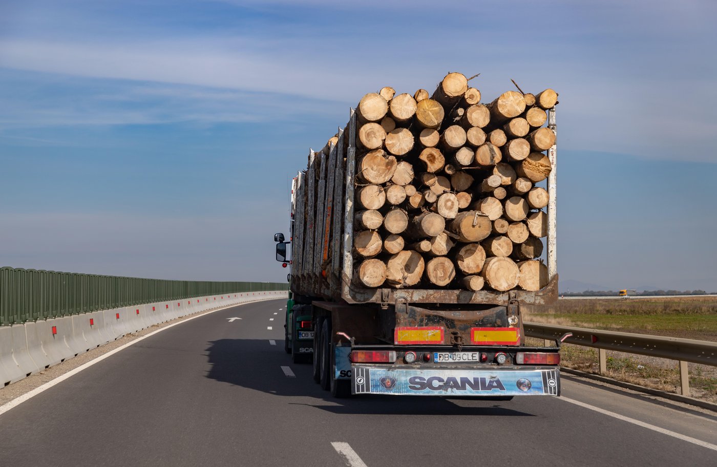 Cum au reușit hoții de lemn să păcălească sistemul SUMAL făcut să depisteze defrișările ilegale