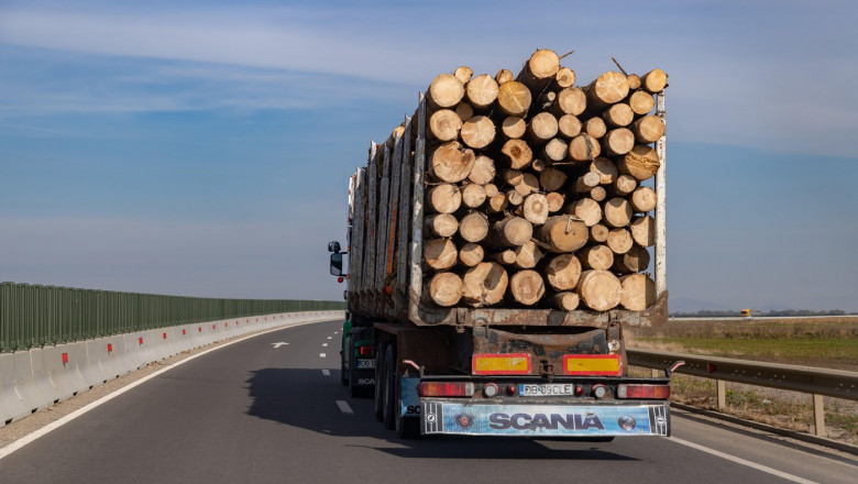 A picture of a logging truck on a Romanian highway.