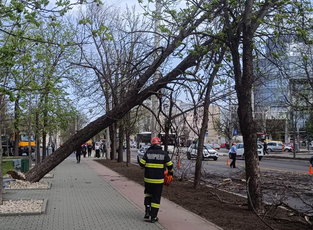 Vreme foarte rece, ploi și vânt puternic în Capitală: cum se pregătește Primăria Generală pentru vijeliile așteptate joi în București