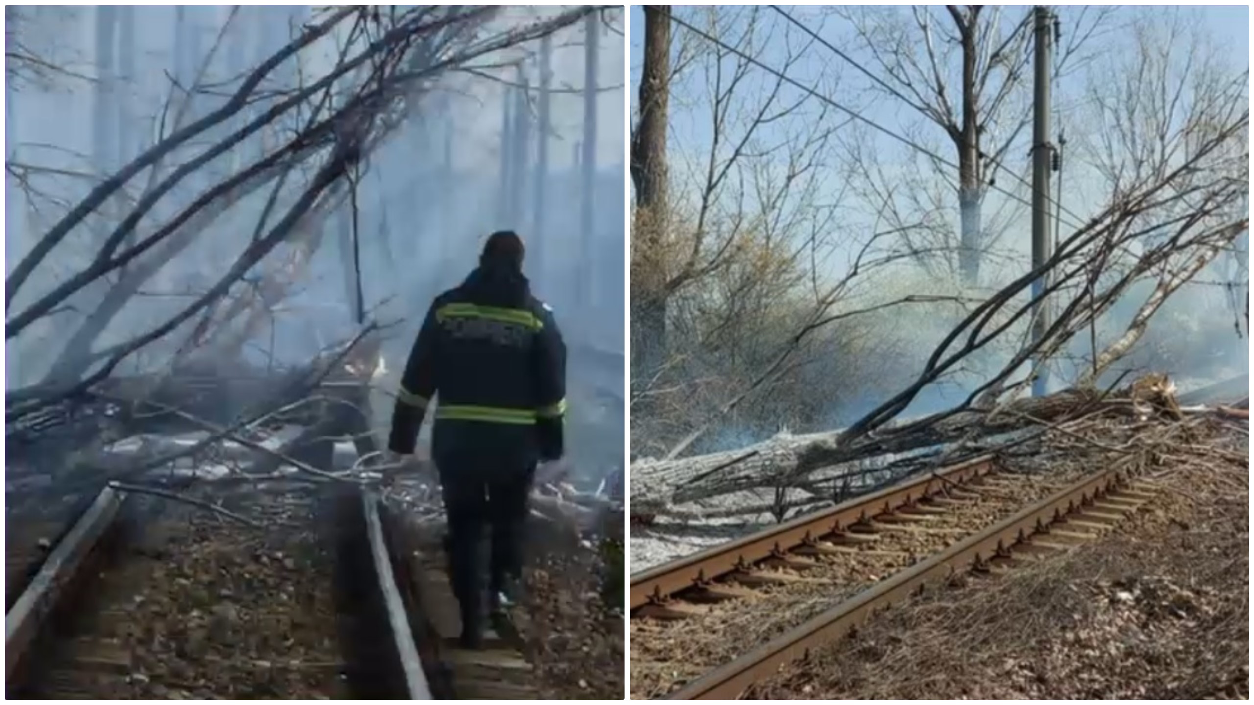 Trenuri oprite între Valea Călugărească și Ploiești, după ce un copac a căzut pe calea ferată din cauza vântului puternic
