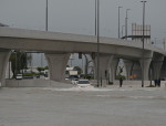 Heavy raining hits UAE