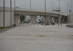 Heavy raining hits UAE