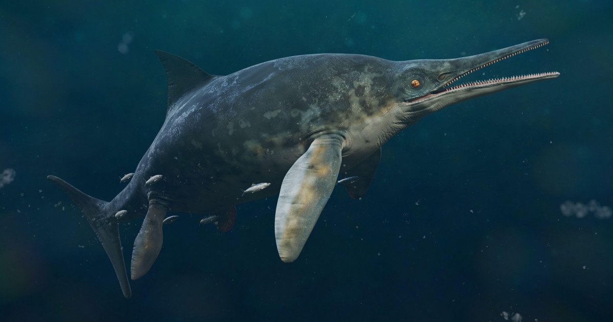 O fetiță de 11 ani a găsit fosilele celei mai mari reptile marine care a existat vreodată. Creatura era lungă cât două autobuze|EpicNews