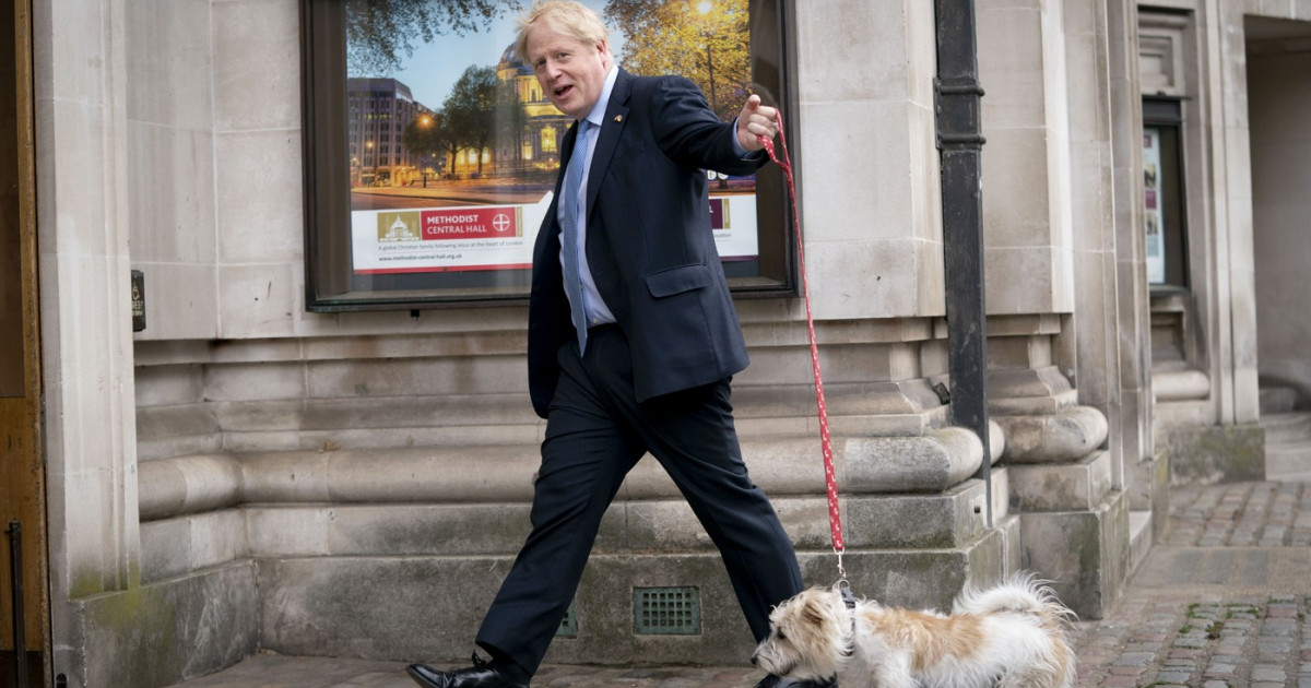 Câinele lui Boris Johnson a umplut de purici reședința prim-miniștrilor britanici din Downing Street|EpicNews