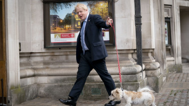Câinele lui Boris Johnson, Dilyn, ar fi infestat Downing Street cu purici
