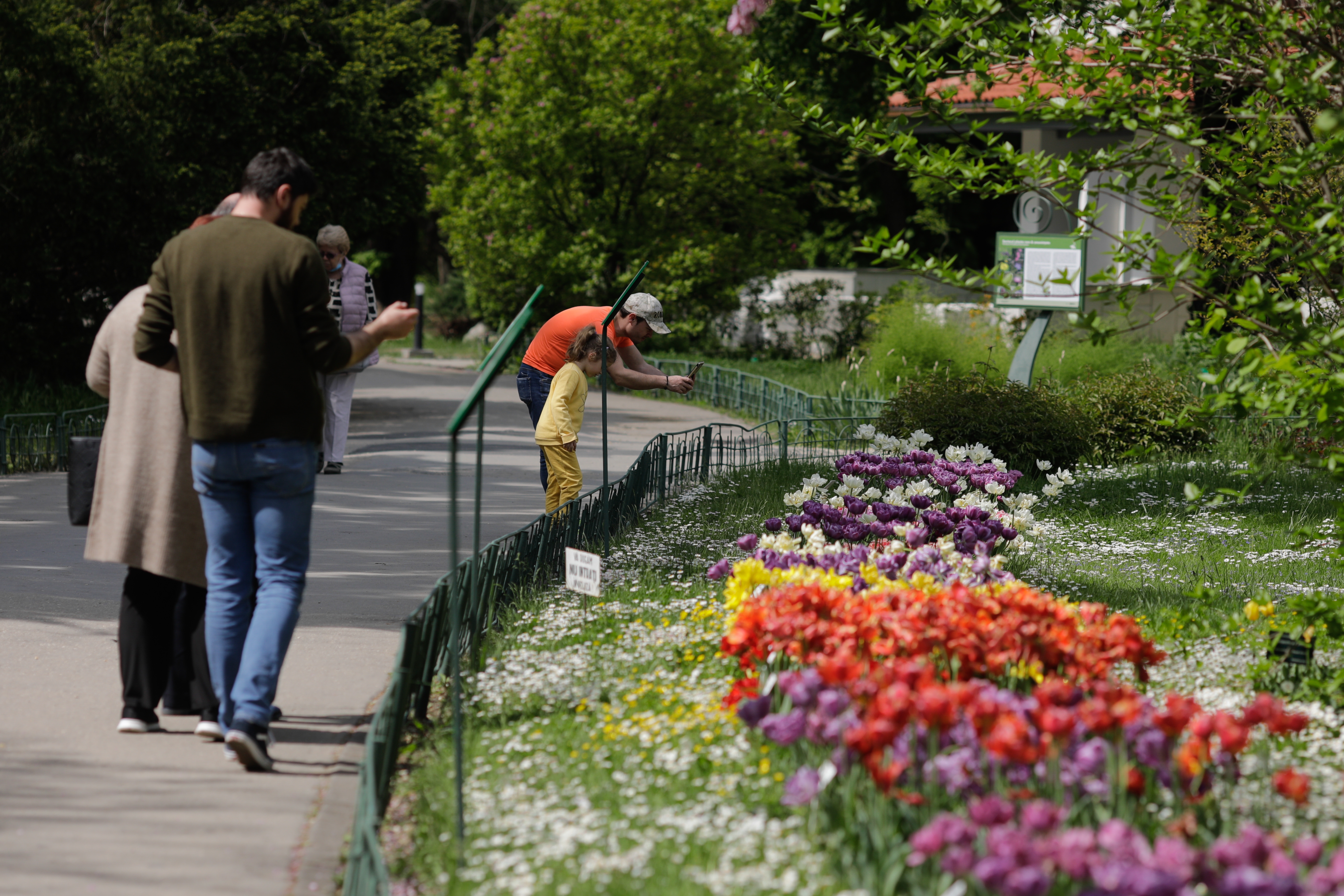 Prognoza meteo pentru următoarele patru săptămâni. Când cresc temperaturile și scăpăm de ploi