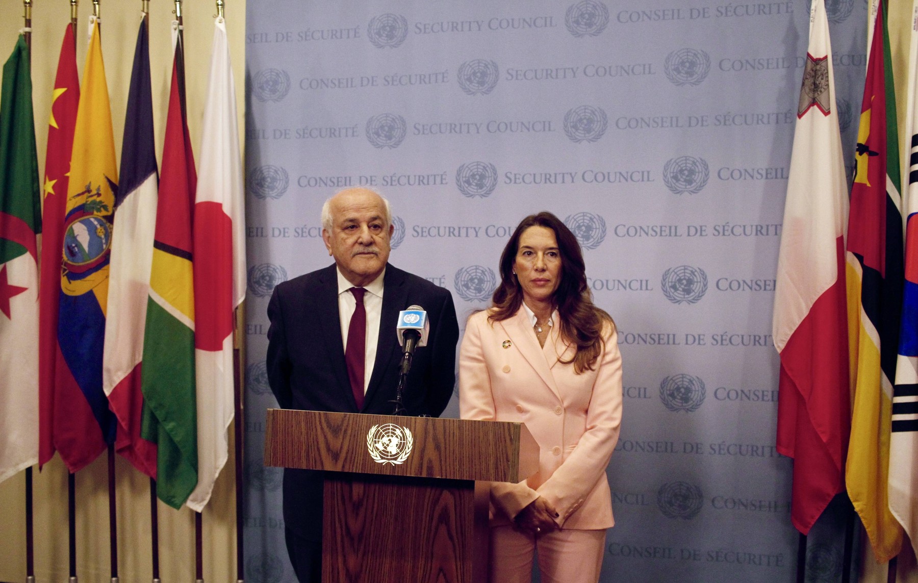 Lipsă de consens la ONU privind aderarea Palestinei cu statut de membru cu drepturi depline