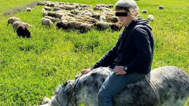 Benjamin Achimeir, ciobanul israelian de 14 ucis, sta calare, oi pe fundal