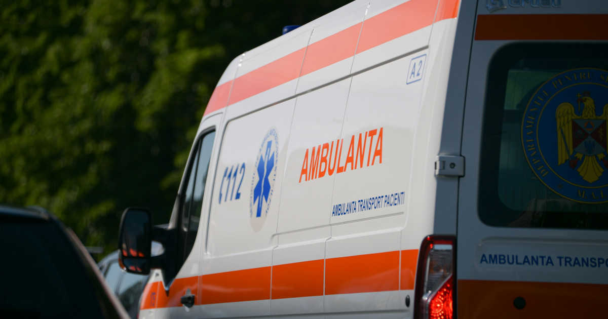 Un bărbat din Neamț a murit după ce un copac a căzut peste el|EpicNews