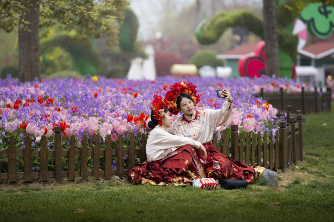 TULIPS IN CHINA