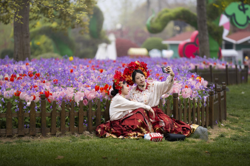 TULIPS IN CHINA