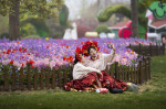 TULIPS IN CHINA