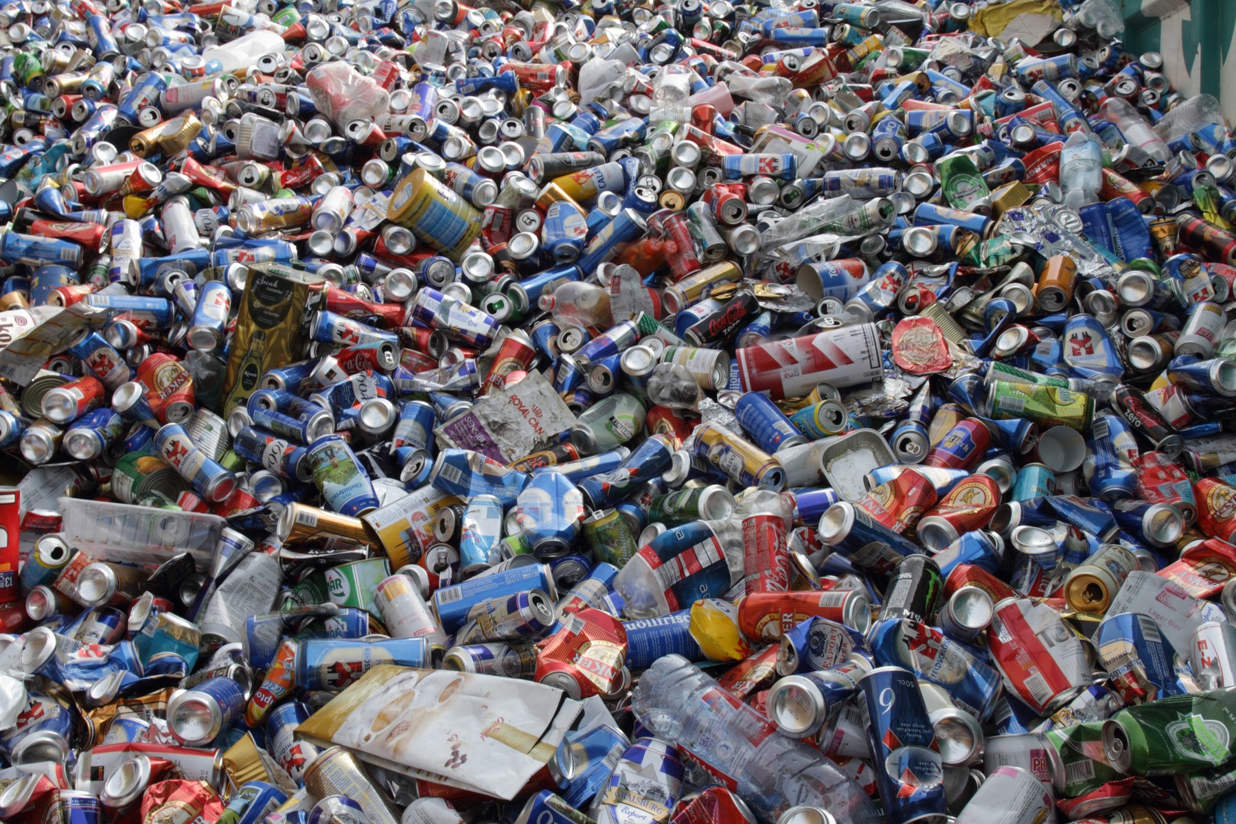 Oamenii de știință au reușit să producă „plasticul viu”. Cum ar putea salva materialul-minune planeta de la dezastru ecologic
