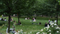 picnic in parcul cismigiu