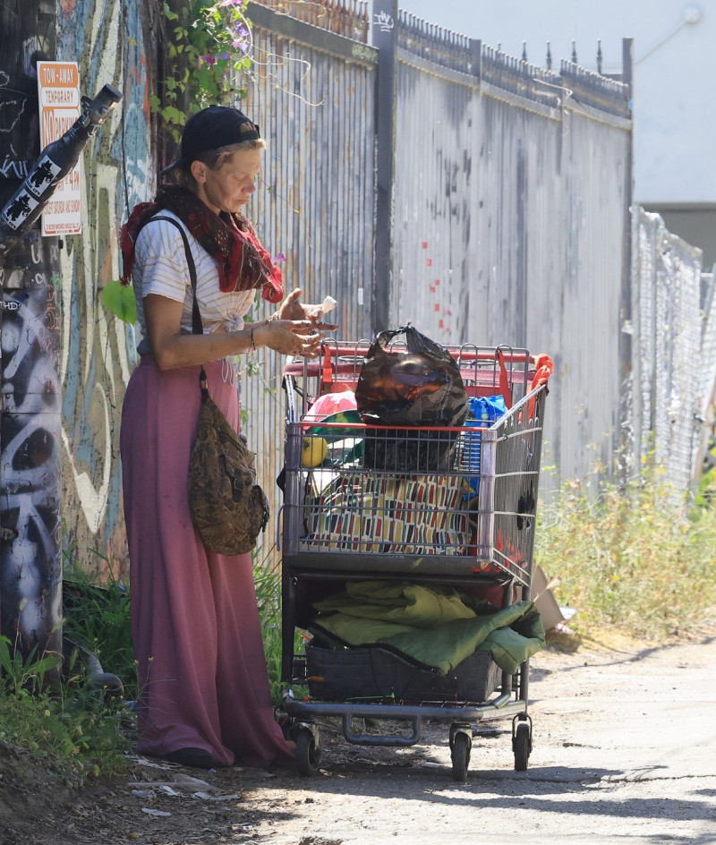 EXCLUSIVE: Loni Willison is Pictured on the Streets of Los Angeles.