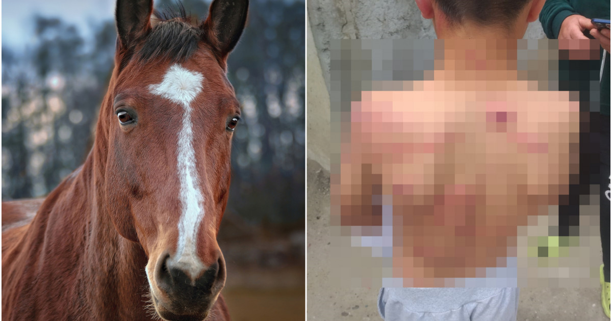Un copil de 10 ani din Galați a fost bătut crunt cu biciul, după ce ar fi speriat calul unor rude. Agresorii, arestați preventiv|EpicNews