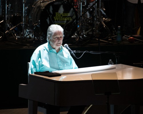 Cântăreţul Brian Wilson, membru fondator al trupei Beach Boys, a fost plasat sub tutelă judiciară, la cererea familiei