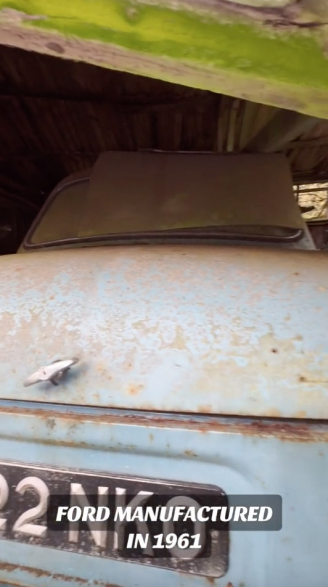 Woman finds vintage car graveyard in 'spooky' UK forest