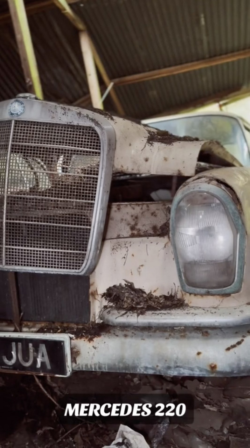 Woman finds vintage car graveyard in 'spooky' UK forest