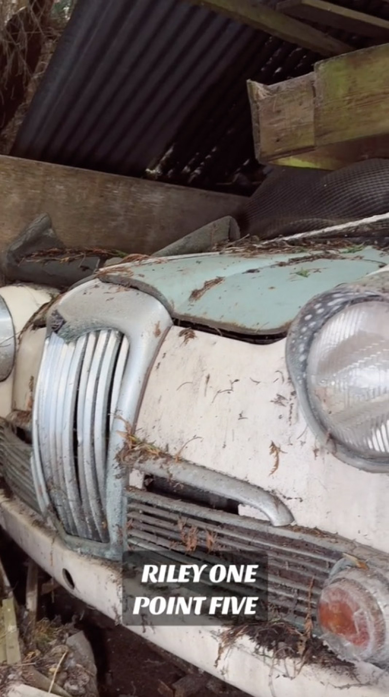 Woman finds vintage car graveyard in 'spooky' UK forest