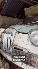 Woman finds vintage car graveyard in 'spooky' UK forest