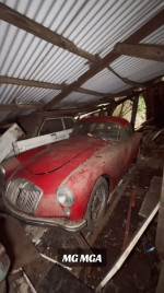 Woman finds vintage car graveyard in 'spooky' UK forest