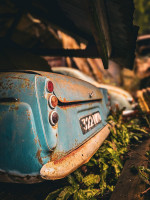 Woman finds vintage car graveyard in 'spooky' UK forest