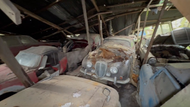 Woman finds vintage car graveyard in 'spooky' UK forest